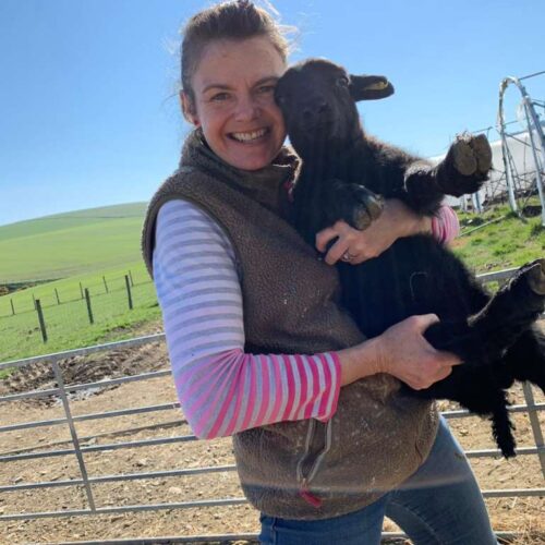 Boutique Farm Bothies