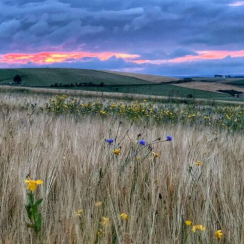 Boutique Farm Bothies