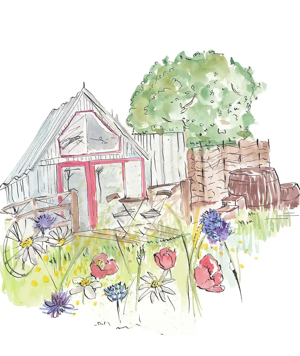 Sheep Shed